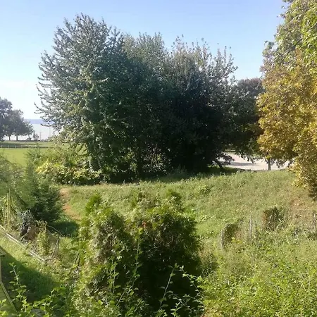 Appartamento In 38267 Balatonvilágos